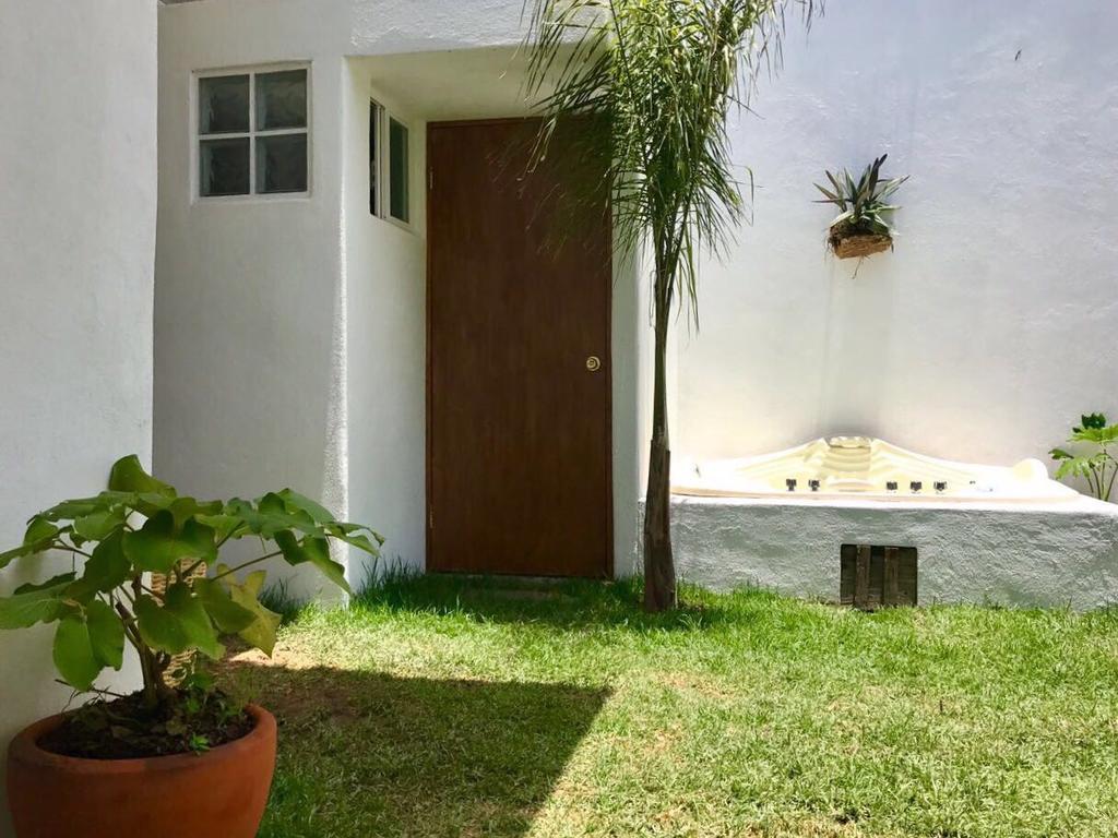 Hoja Santa Hostal Boutique Cholula Eksteriør billede