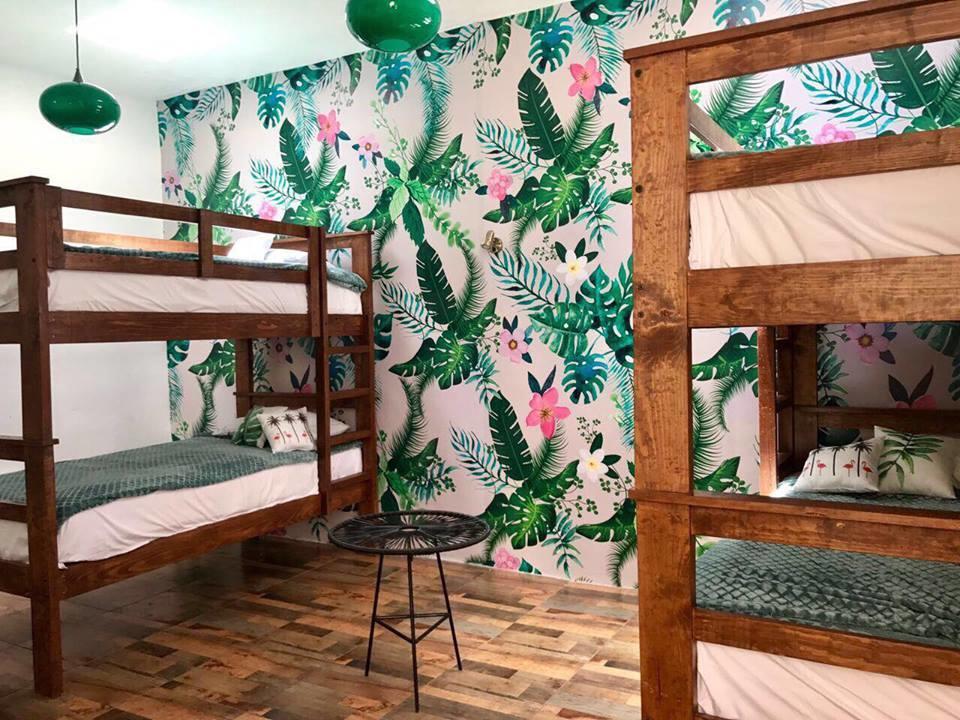Hoja Santa Hostal Boutique Cholula Eksteriør billede