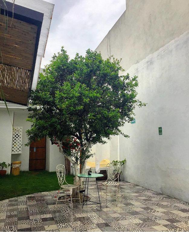 Hoja Santa Hostal Boutique Cholula Eksteriør billede